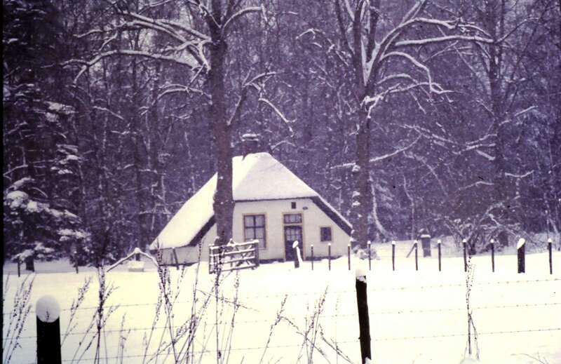 Cottage in Snowy Forest