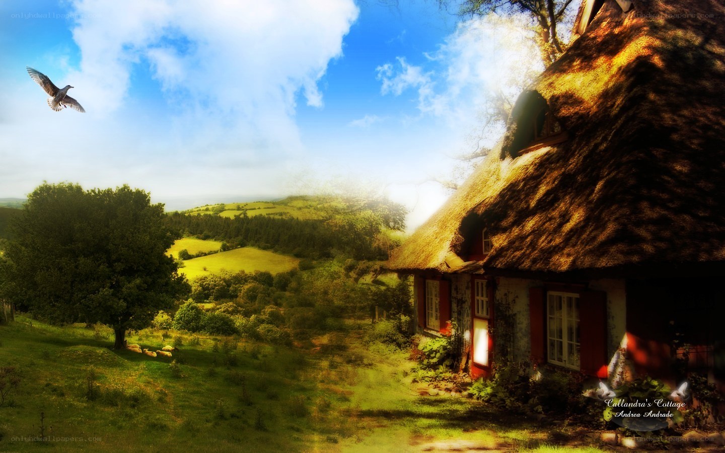 Cottage in the countryside