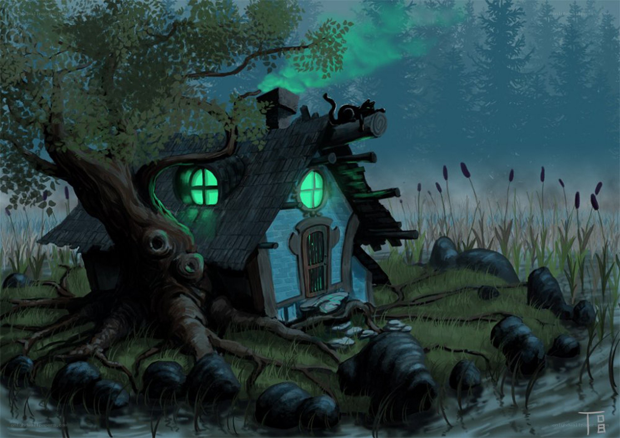 cottage in the swamp