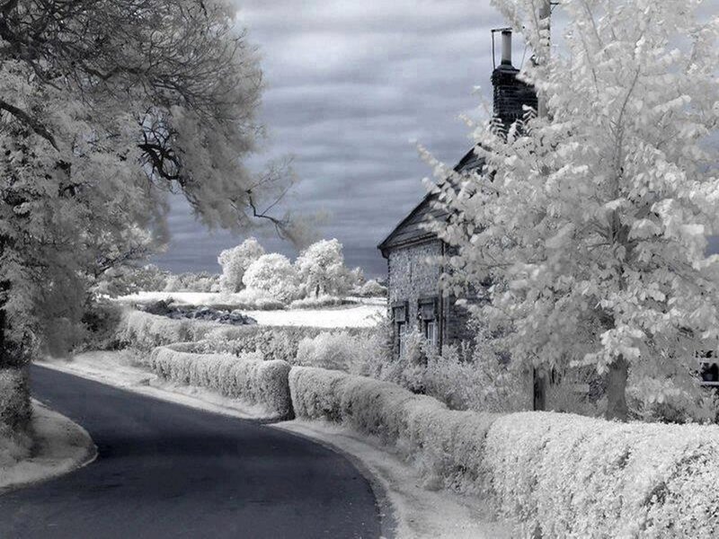 Cottage on a Rural Road