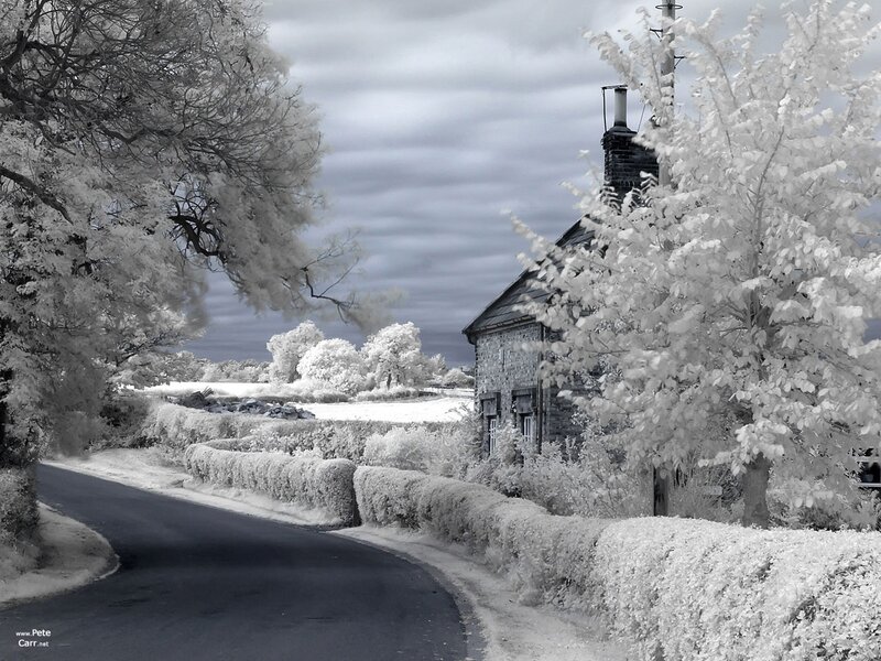 Cottage on Country Road