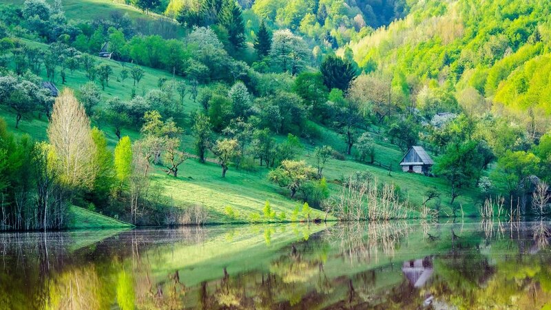 Cottage on Hillside
