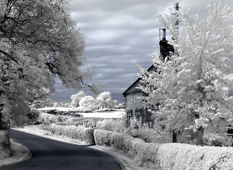 Cottage on Rural Road