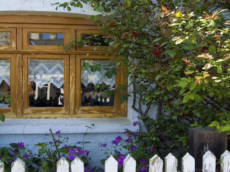 cottage window with flowers
