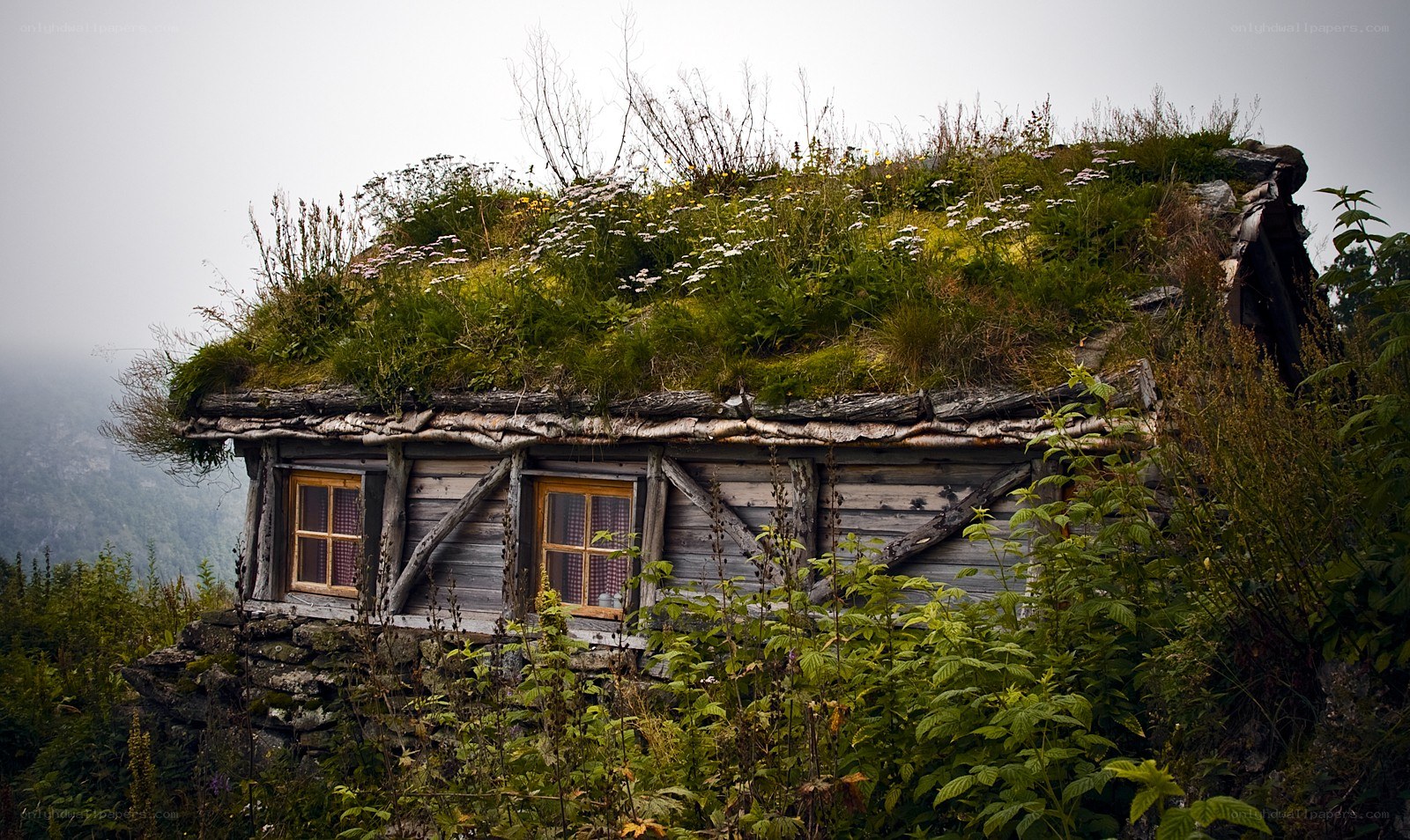 Cottage with a green roof