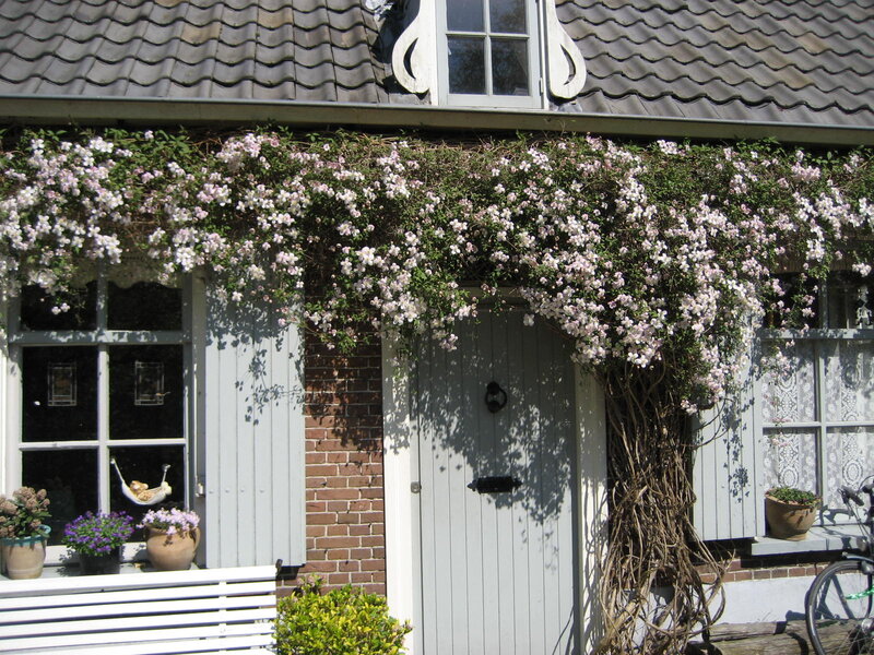 Cottage with Climbing Flowers
