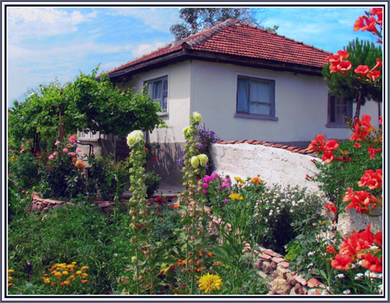 Cottage with flower garden