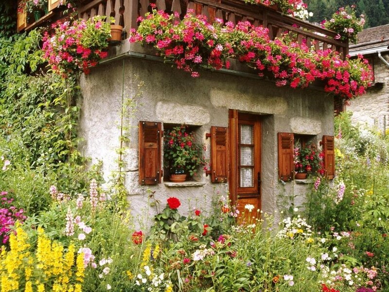Cottage with Flowers — Pink
