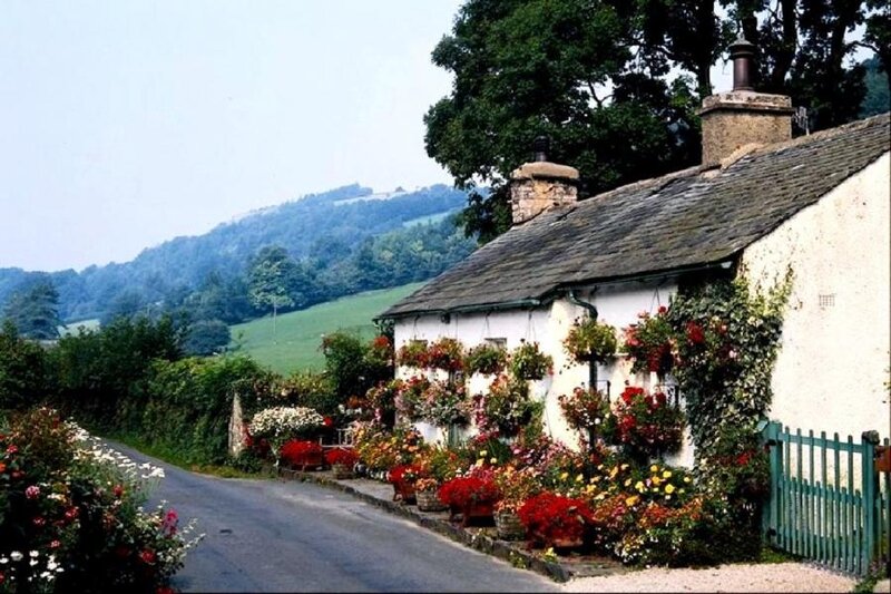 Cottage with Flowers — White, Serene