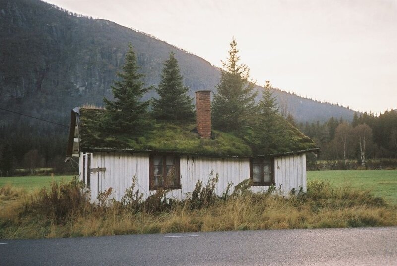 Cottage with grass roof