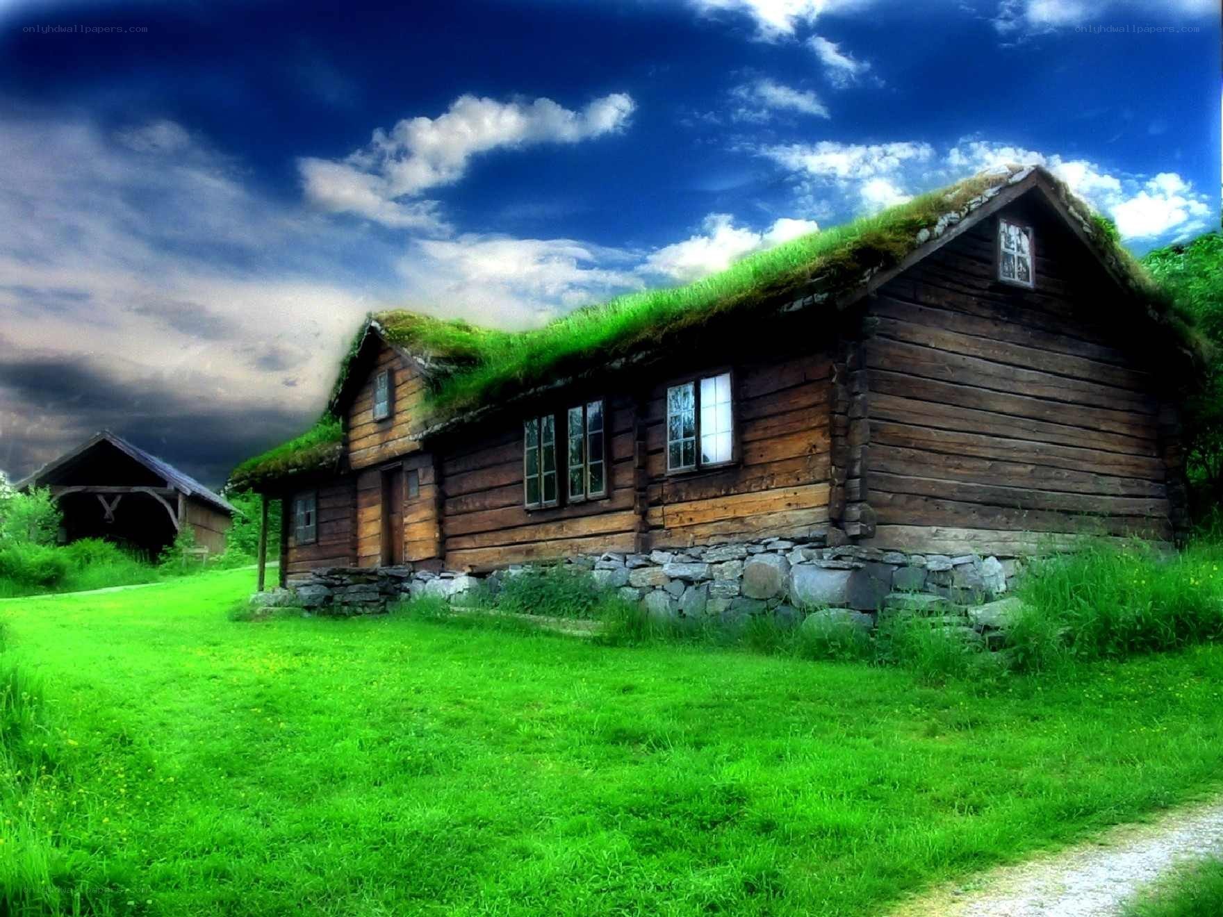 Cottage with grass roof