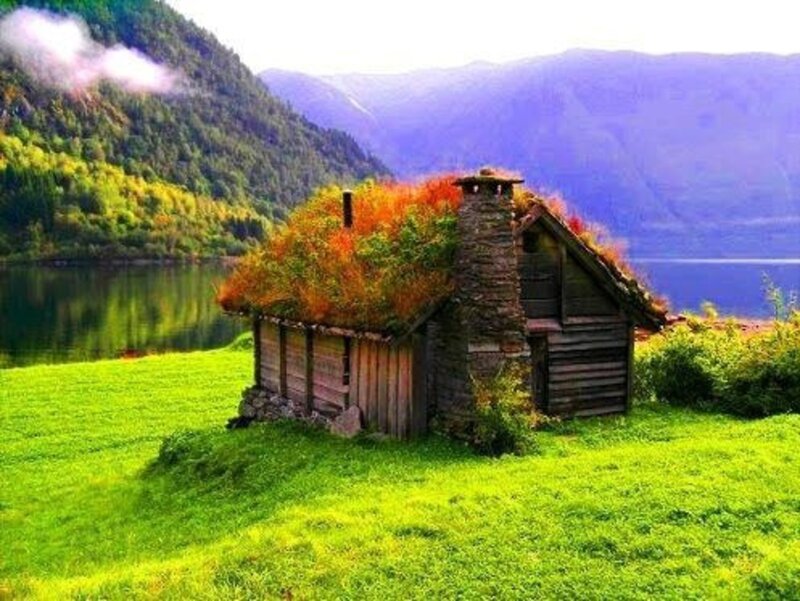 Cottage with Green Roof — Serene