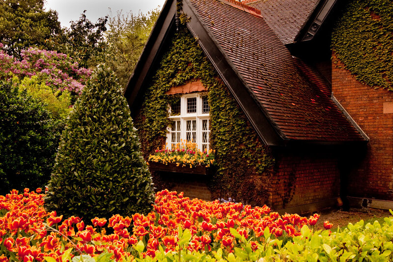 Cottage with Ivy and Flowers