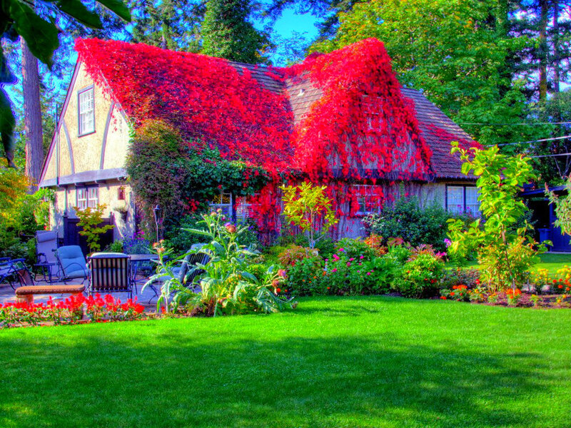 Cottage with Red Ivy — Green, Serene