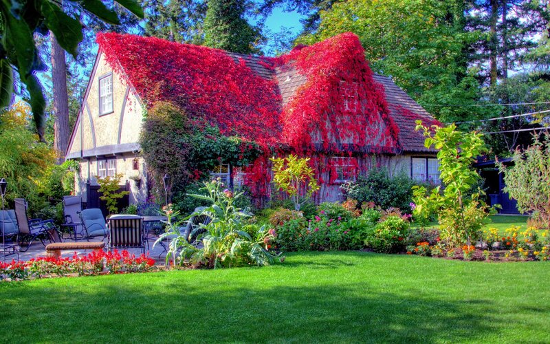 Cottage with Red Ivy — Green