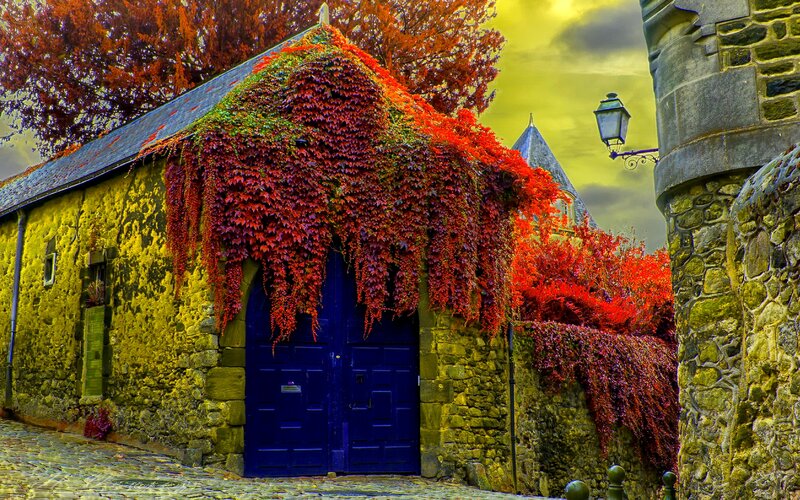 Cottage with Red Ivy