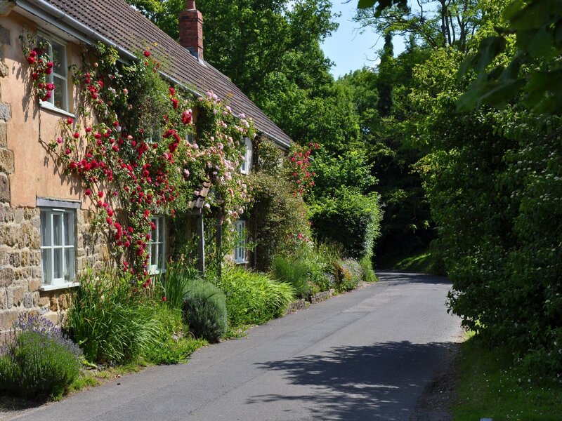 Cottage with roses in a village