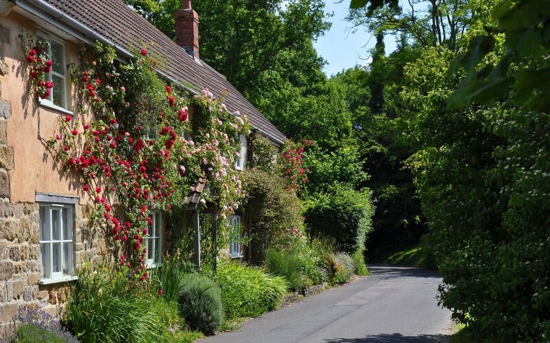 Cottage with roses in a village