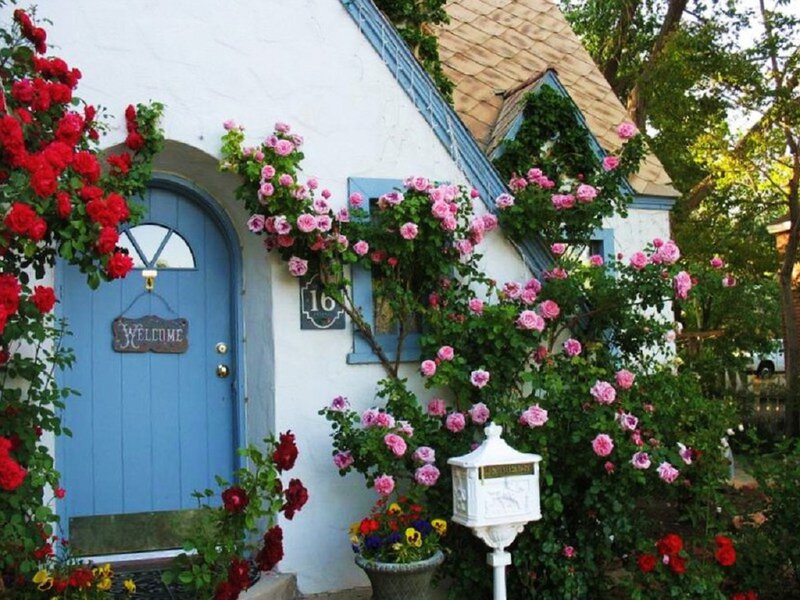 Cottage with Roses — White