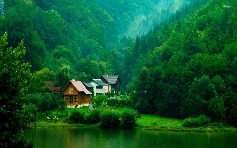 Cottages in Forest — Green, Serene, Morning