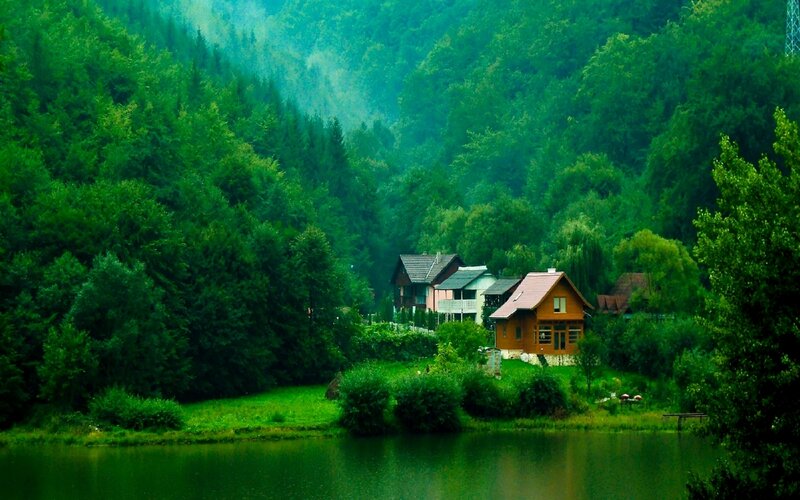 Cottages in Forest — Green, Serene