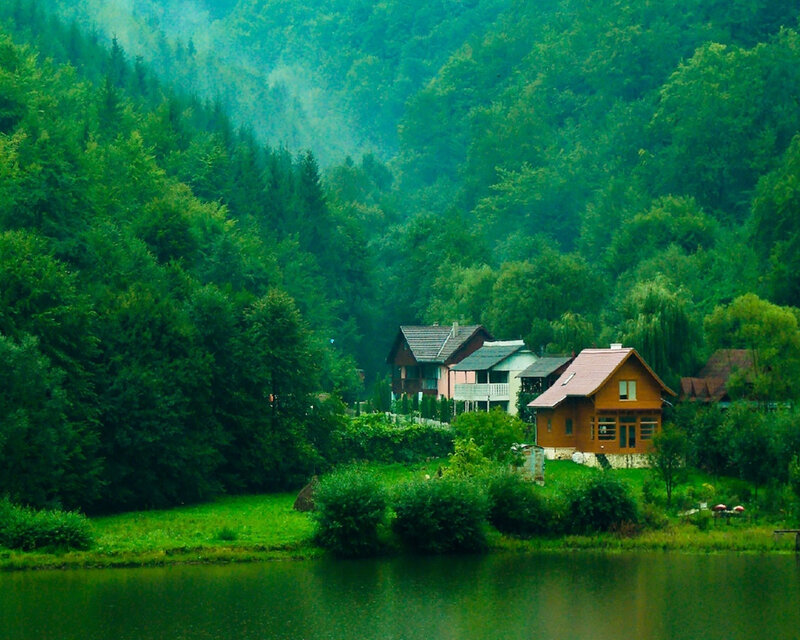 Cottages in Forest