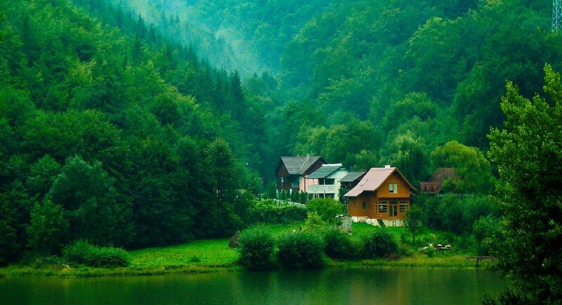 Cottages in Forest Valley