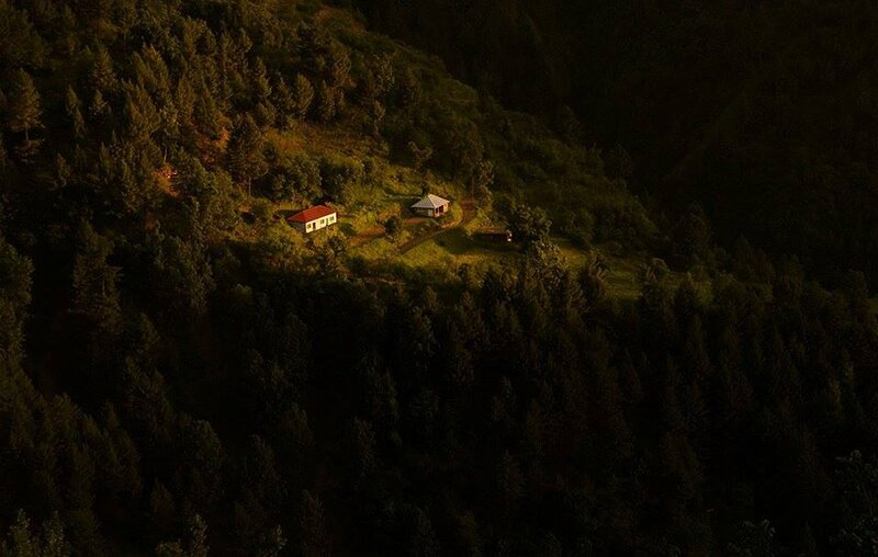Cottages on Forested Hill