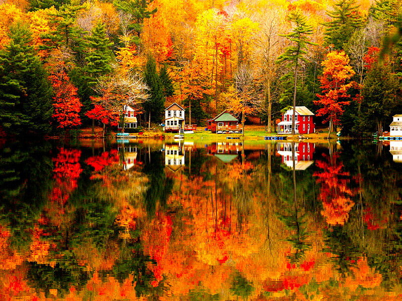 Cottages on Lake Shore