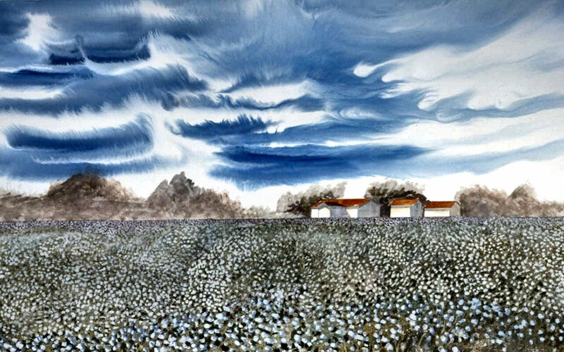 Cotton Field Landscape