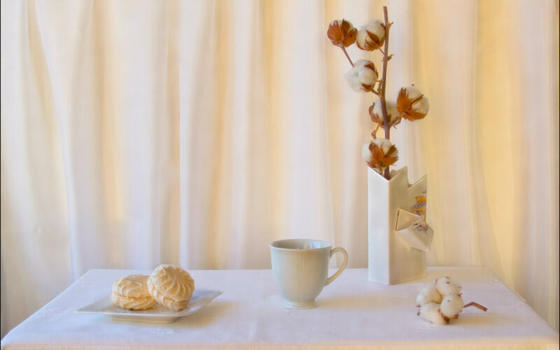 Cotton Stems in Vase