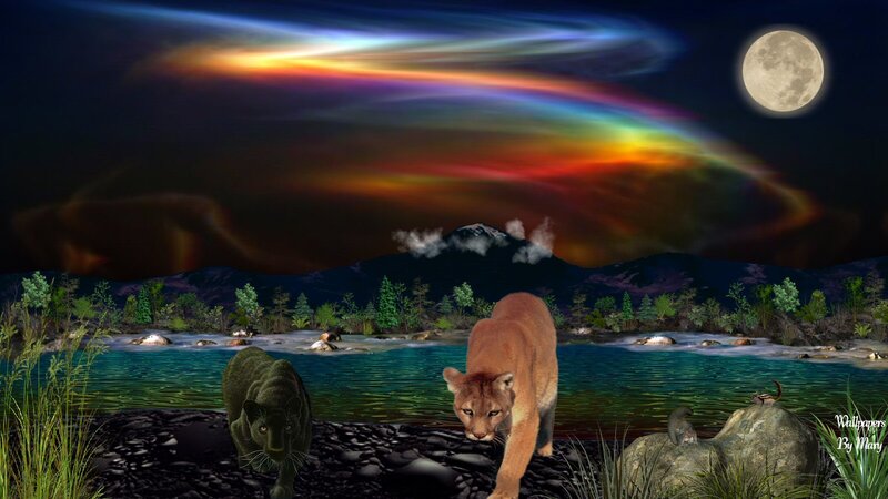 Cougar and Black Panther