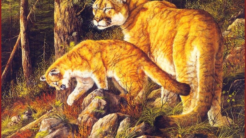 Cougar and Cub in Forest — Brown