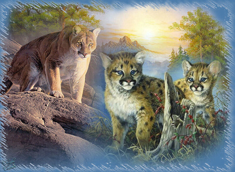 Cougar and Cubs