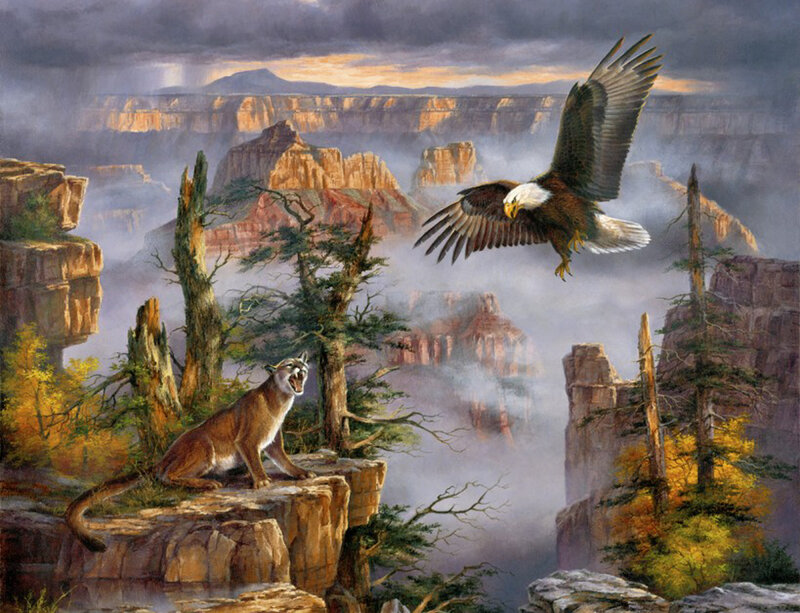 Cougar and Eagle in Canyon — Brown
