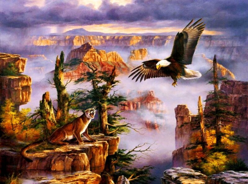 Cougar and Eagle in Canyon