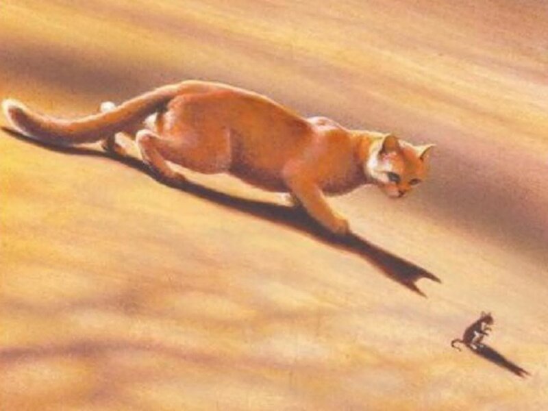Cougar Chasing Mouse