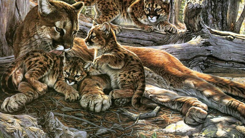 Cougar Family in Forest — Brown, Serene