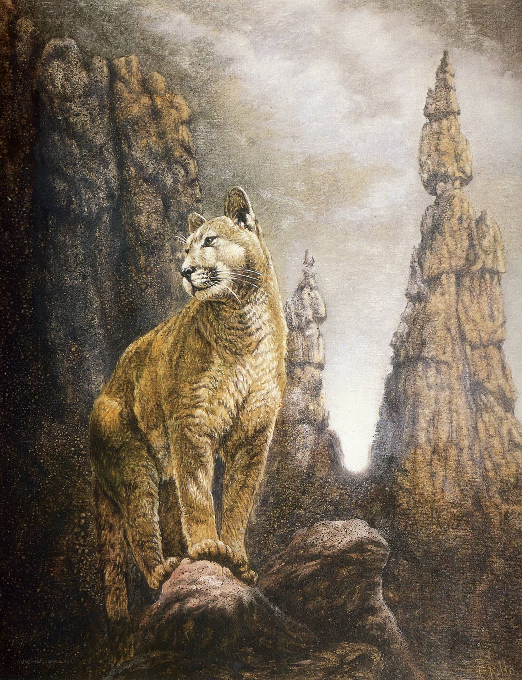 Cougar in a rocky landscape