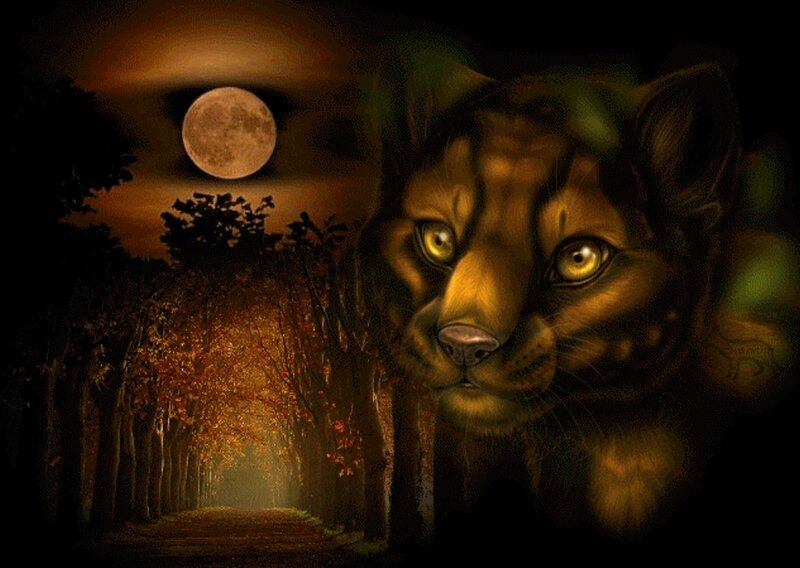Cougar in Forest — Brown, Dramatic