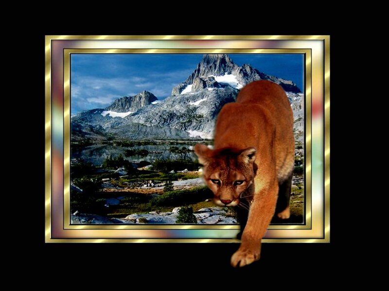 Cougar in Mountain Landscape — Brown