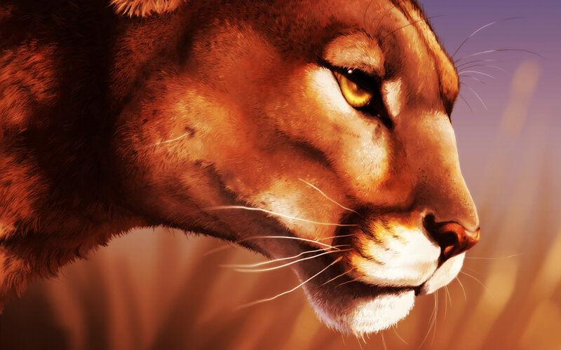 Cougar in Profile — Brown, Dramatic, Sunset