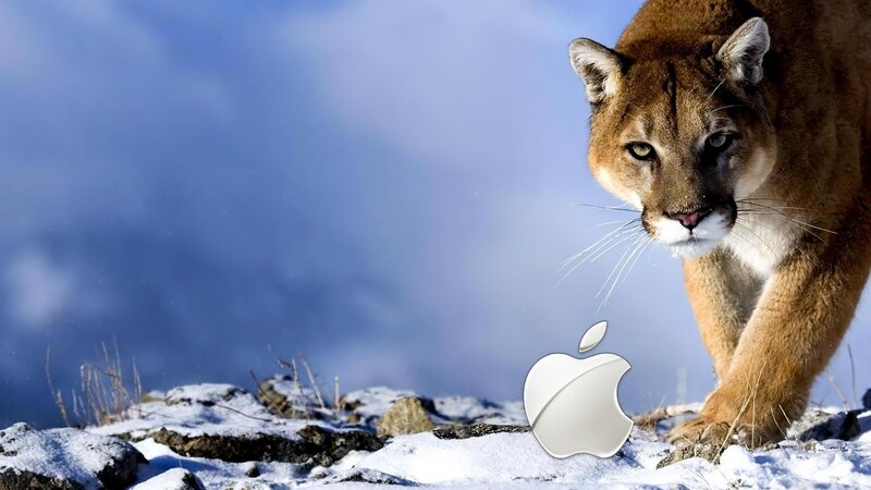 Cougar in snowy landscape
