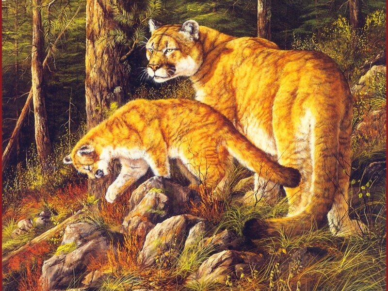 Cougar mother and cub in forest
