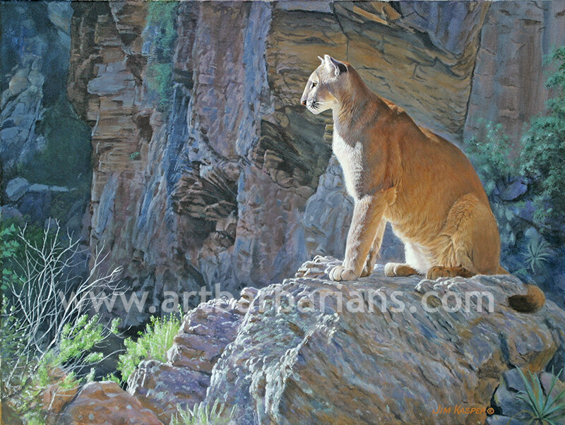 Cougar on a Rock