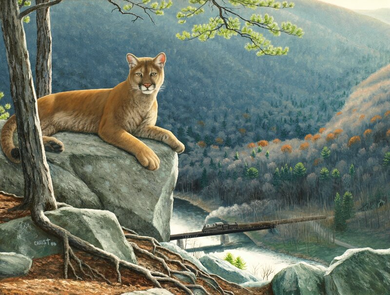 Cougar on a Rock — Brown, Serene, Autumn