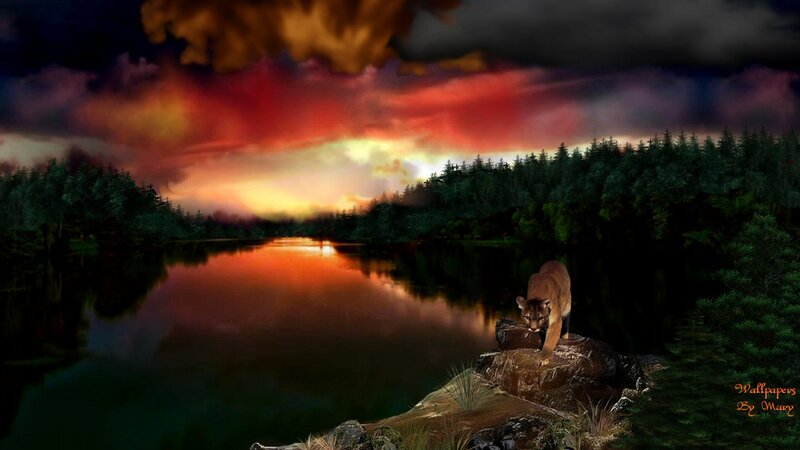 Cougar on a Rock — Red