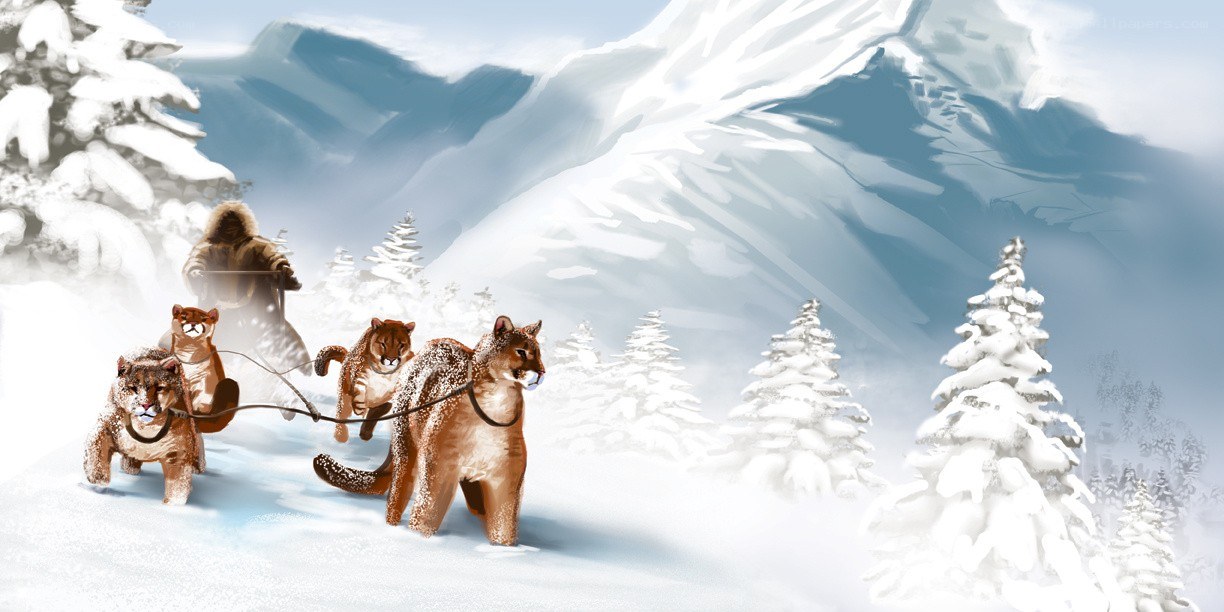 Cougar sled team in snow