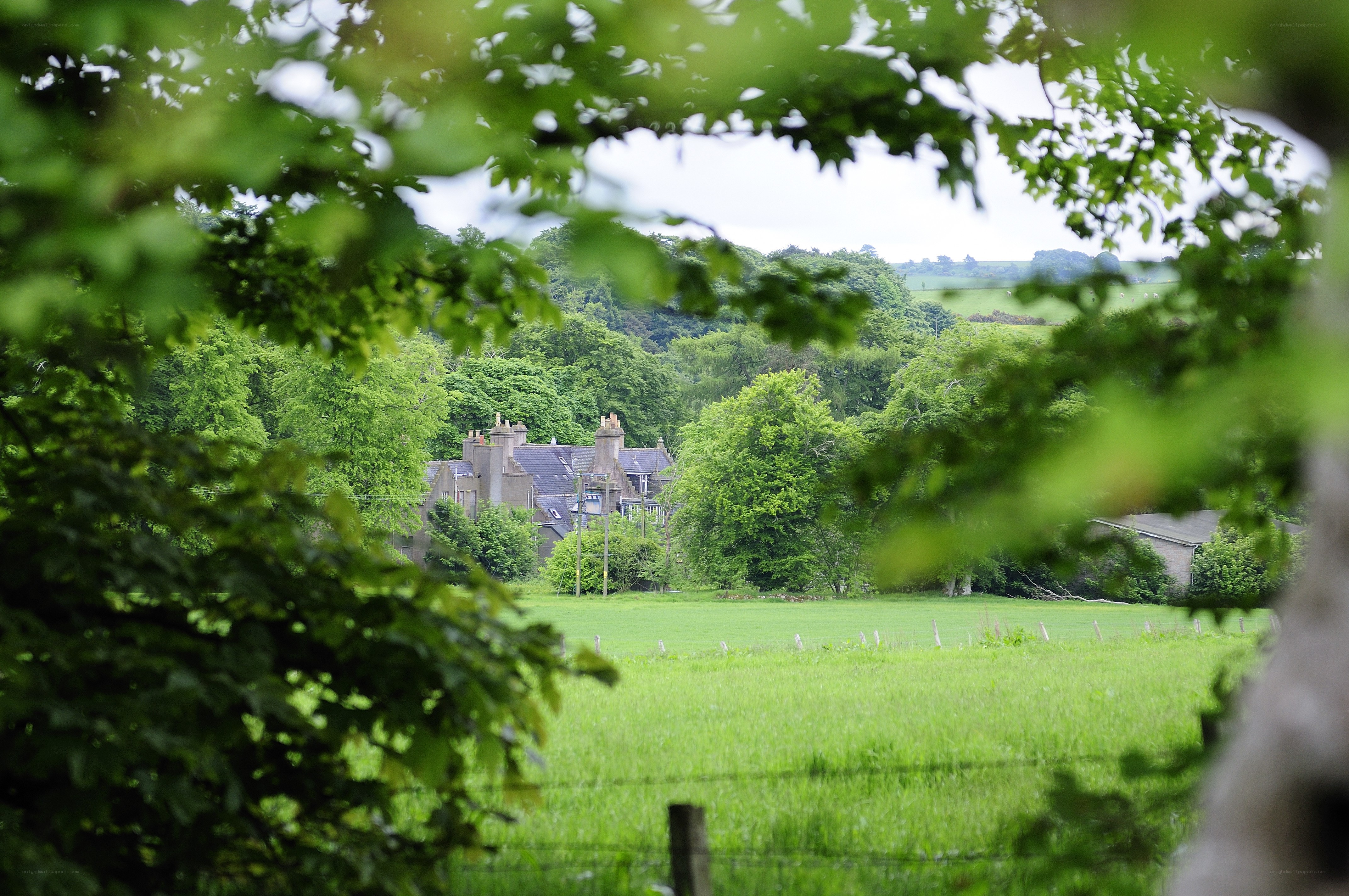 Country house viewed through trees