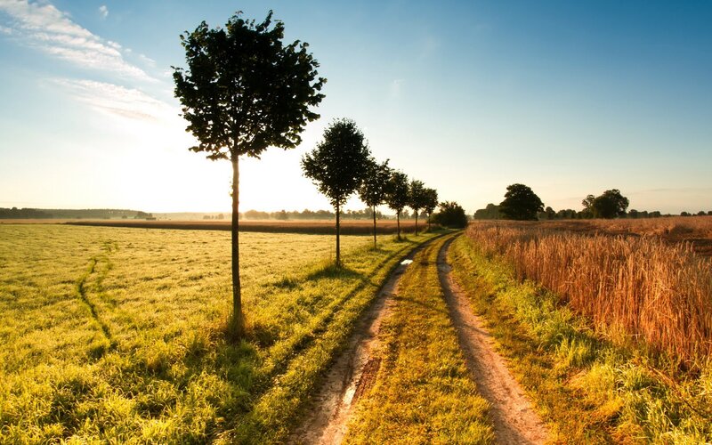 Country path at sunrise